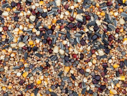 Mastr - bez hrachu 25kg