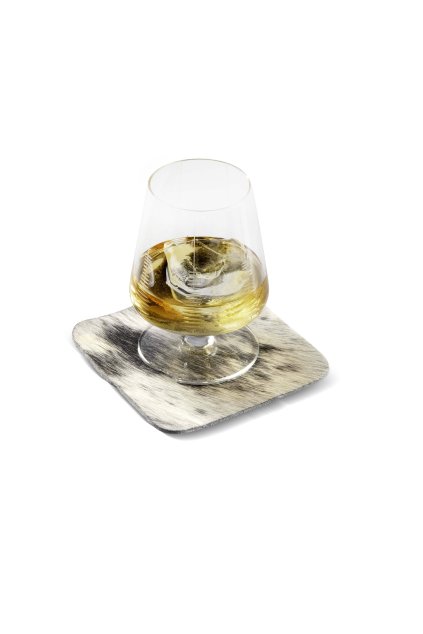 UntersetzerundGlas