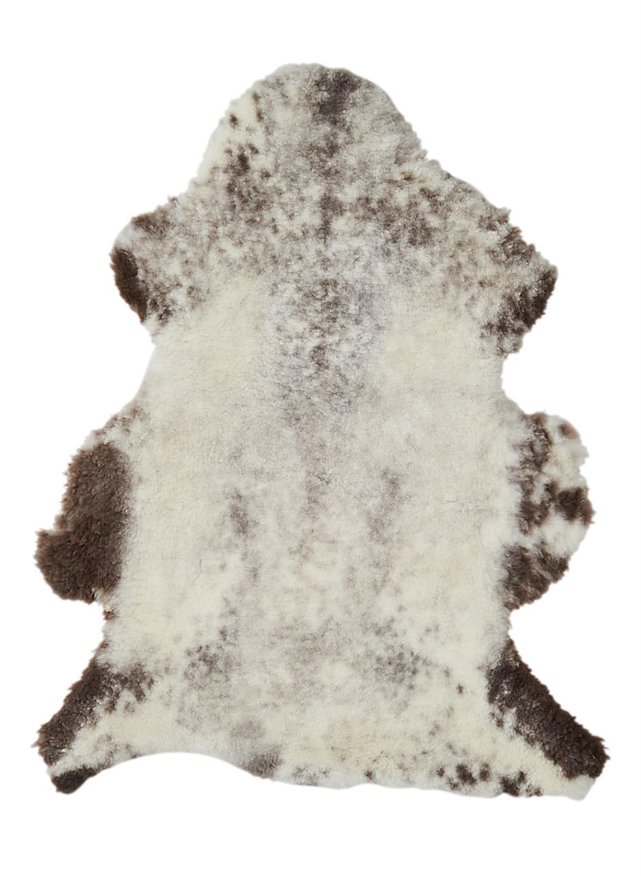 Fotografie Jehněčí kožešina melír -střižená Velikost: 100 cm+, Zvolte variantu: Světlá střižená