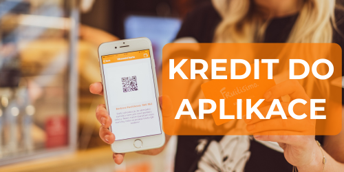 kredit do aplikace