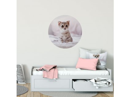 Samolepicí dekorace na stěnu - Koťátko přemístitelný kruh