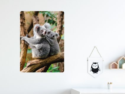 koala a mlade samolepka na zed interier