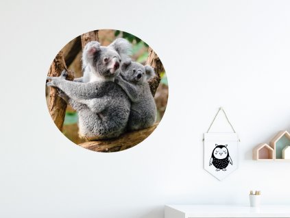 koala a mlade samolepka na zed kruhova interier