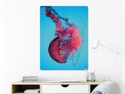 meduza kvet plakat samolepici interier
