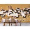 Crane Birds jerabi tapeta na stenu japonsko