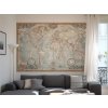 tapeta mapa sveta executive map interier BIG