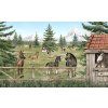 Horse Haven