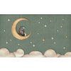 Bear on the Moon green