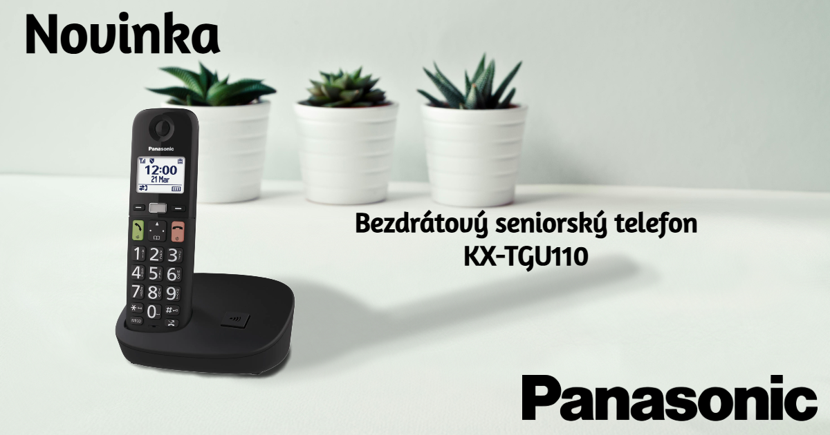 Panasonic