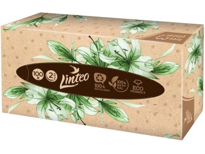 Kapesníčky papírové Linteo, 2vrstvé, 100 % celulóza, bílé, box 100 ks