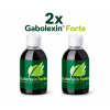 forte2x