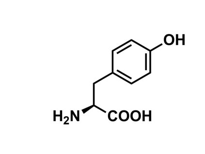 Tyr43