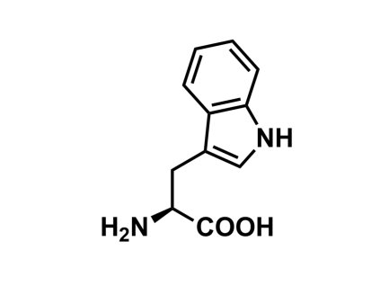 Trp43