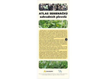 atlas semenáčků zahradních plevelů pomůcka pro určování plevele Gerlich Odry