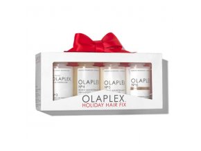 olaplex holiday hair fix
