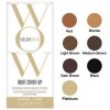 Color Wow Root Cover Up