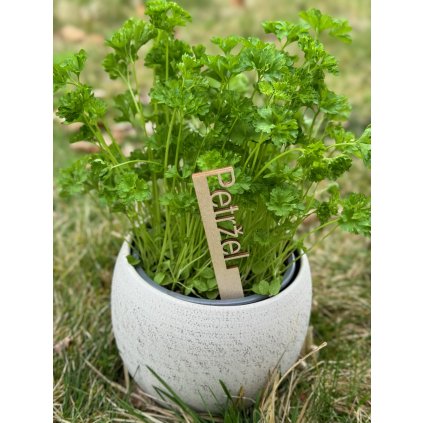 9E4DF352 AFF1 4C67 A48C 994AB9C24F57