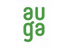 Auga