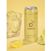 Cans | Perlivá voda Citron & Limetka 330ml