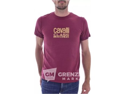 cavalli class t shirts rood heren 1174173