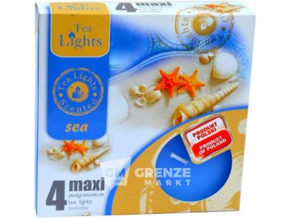 tea lights svicka maxi sea 4ks