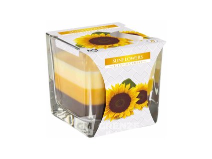 Bispol vonná svíčka Sunflowers 170g