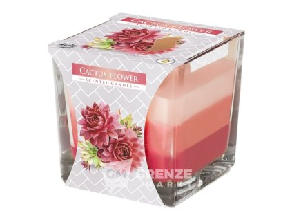 bispol-svicka-cactus-flower-170g