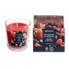 78058 2 provence svicka ve skle jahoda a malina 7 x 8 cm 135g 120 hodin horeni