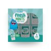 fundiez fresh mints 6x15g