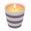 svicka citronella in ceramic pot