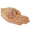 Kent Jelibon Sour Patch želé bonbóny meloun 80g