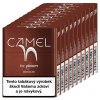 camel for ploom bronze karton