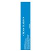Caffe Borbone Crema Classica kapsle 10ks