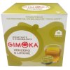 Gimoka DG Zenzero E Limone 176g | GRENZE MARKT