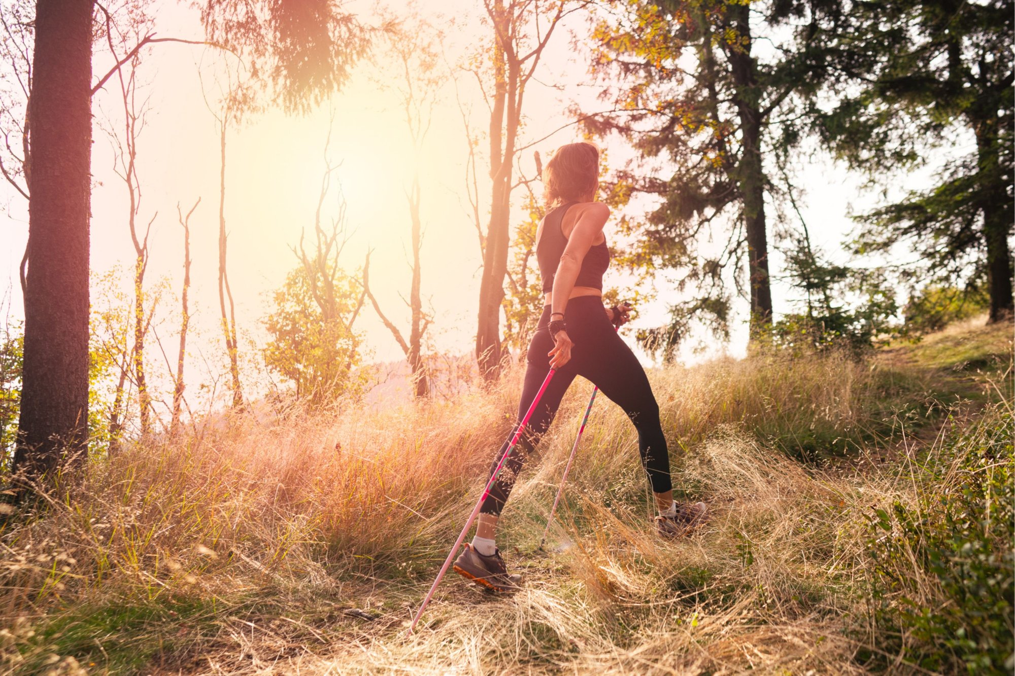 Jak se dostat zpět do kondice pomocí Nordic walkingu