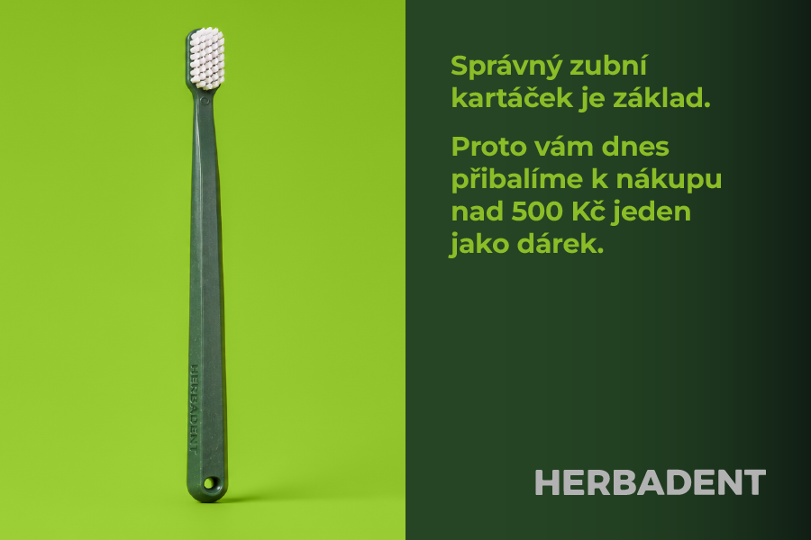 Den zdraví dásní