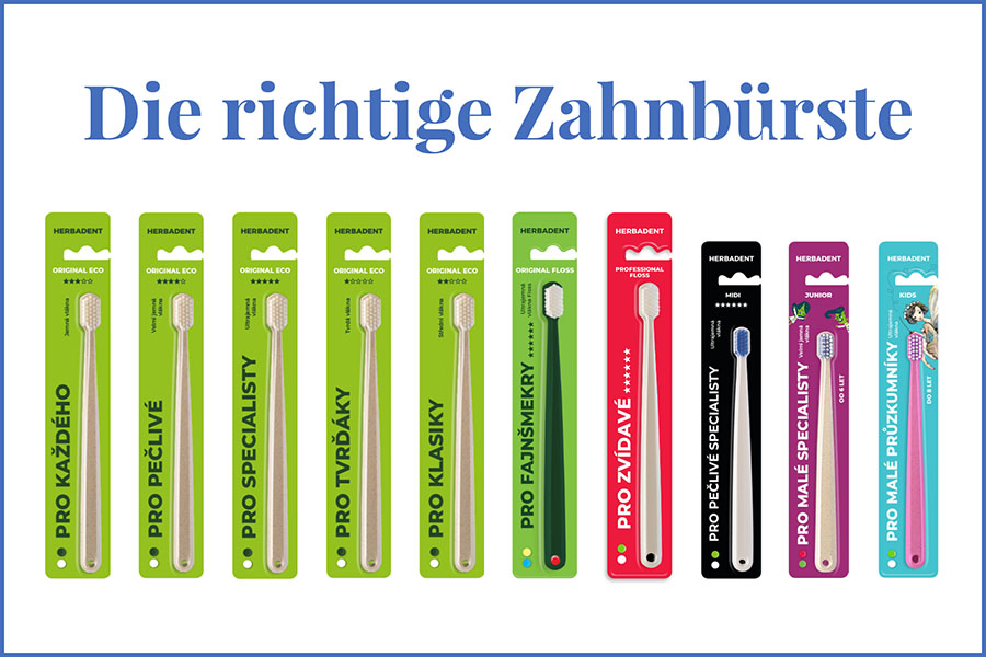 Die richtige Zahnbürste