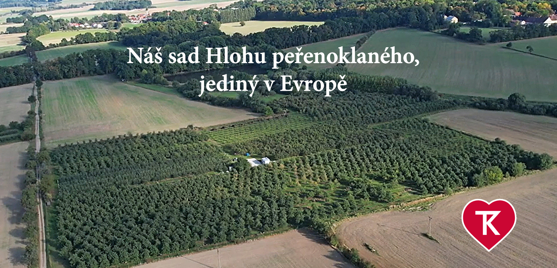 Sad Hloh peřenoklaný