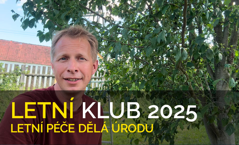 Letní klub