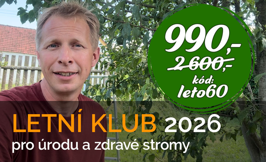 Letní klub 2026