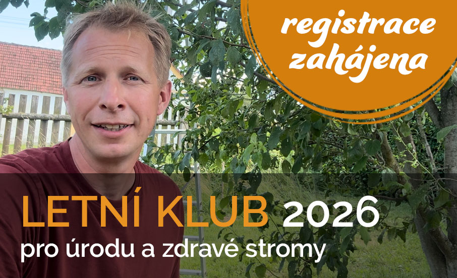 Letní klub 2026