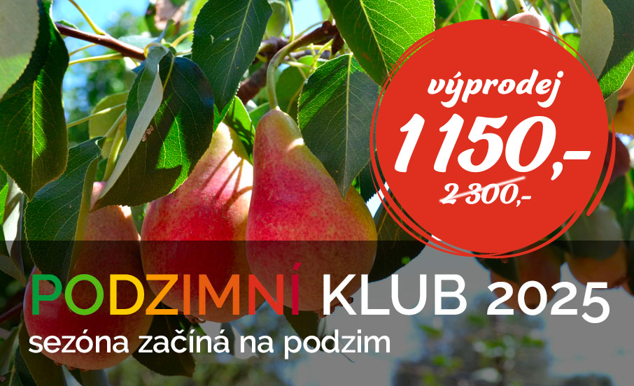 Podzimní klub