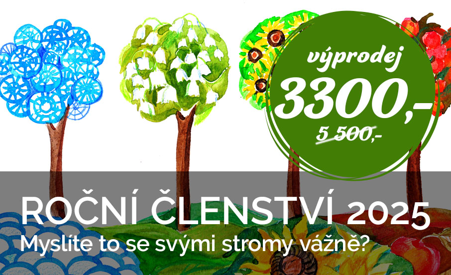 Rocni clenství