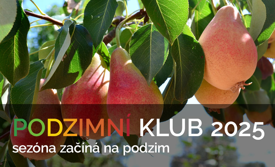 Podzimní klub