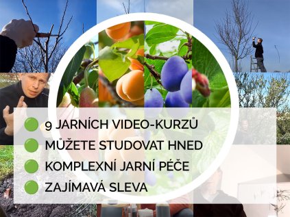 vsechny kurzy2