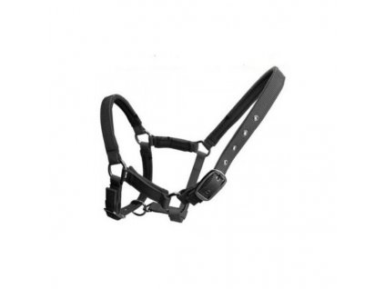 Helmer obojek k GPS lokátoru LK 515 - Head