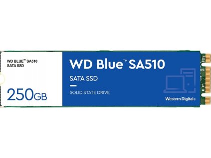WD Blue SSD SA510 250GB M.2 (WDS250G3B0B)