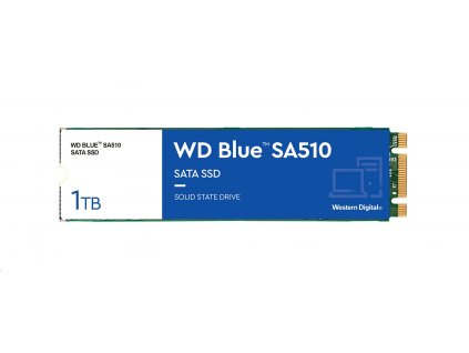 WD Blue SSD SA510 1TB M.2 (WDS100T3B0B)