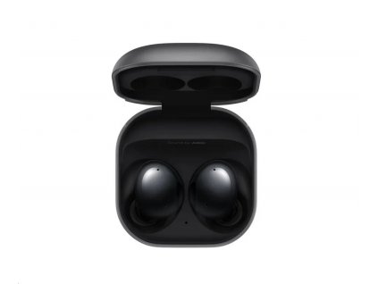 Samsung Galaxy Buds2 onyx (SM-R177NZTAEUE)