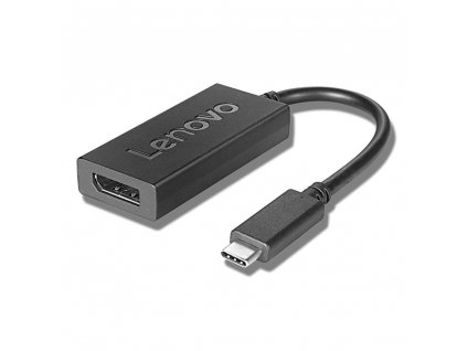 Lenovo kabel redukce USB-C to DisplayPort, 20cm (4X90Q93303)